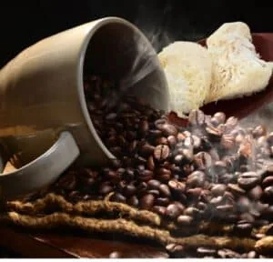 Mushroom Coffee and Lion's Mane Mushrooms - LiveGoodWarrior.com
