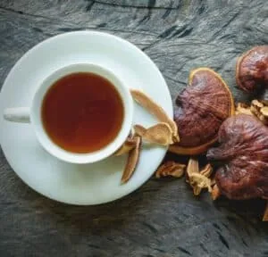 Organic Coffee With Mushrooms For Weight Loss - LiveGoodWarrior.com